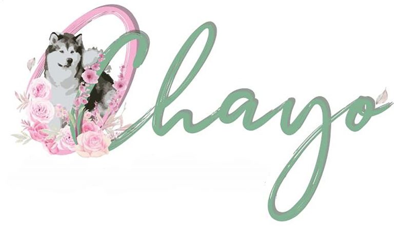 Chayo small logo