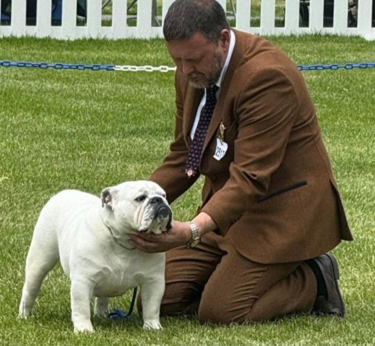 Fearnought Ice Ice Baby