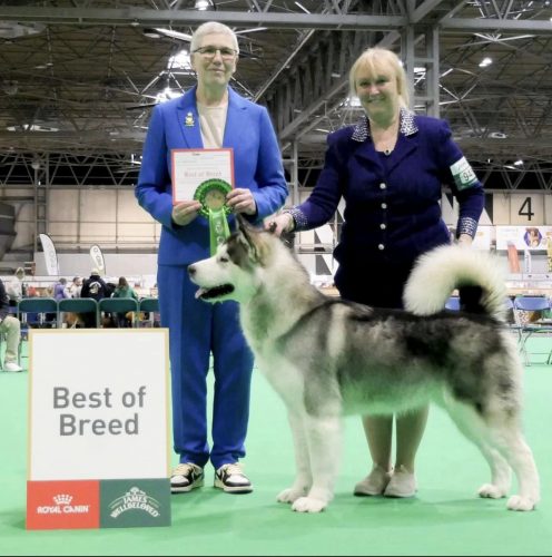 Layla - Best Of Breed