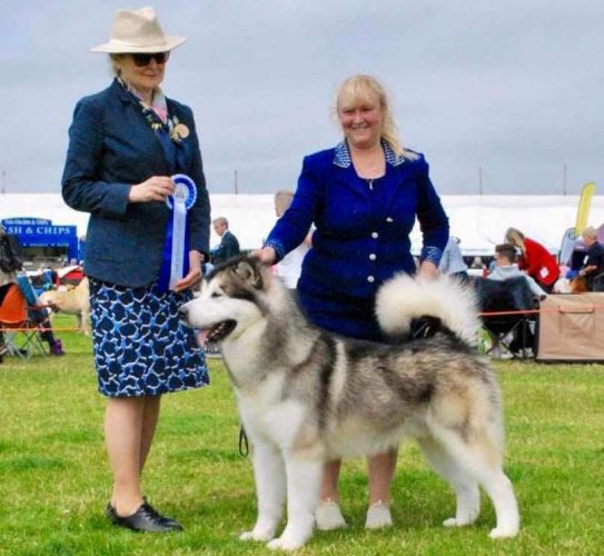 Chayo Trust The Magic