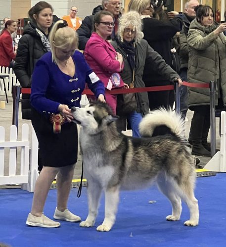 Magic - Best Of Breed