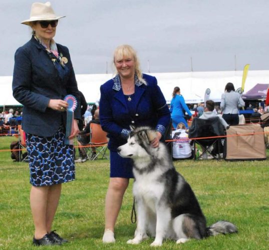 Chayo Love On The Rocks