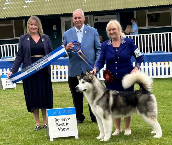 Reserve Best In Show